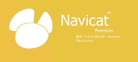 MySQL 数据库管理软件 Navicat Premium 11  绿色版